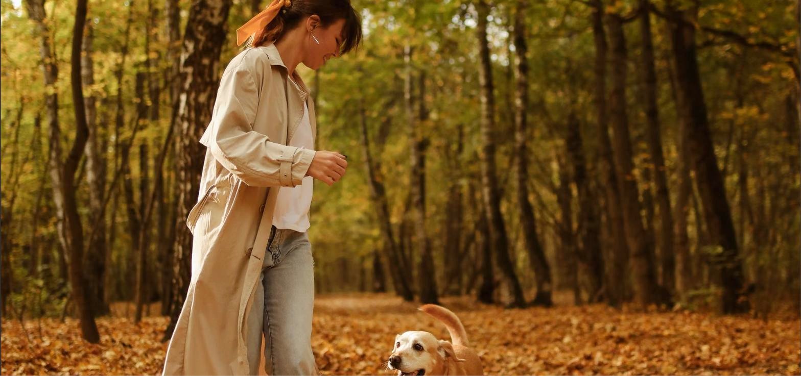 Dog following its owner on a forest path